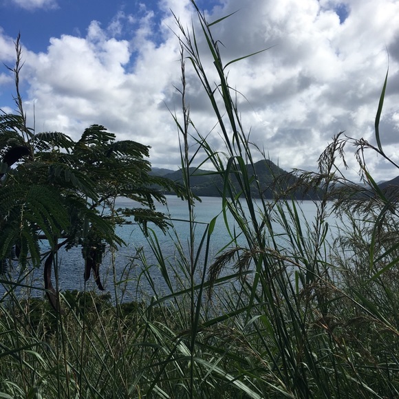 Meet your Posher, Mary beth - Picture 1 of 1